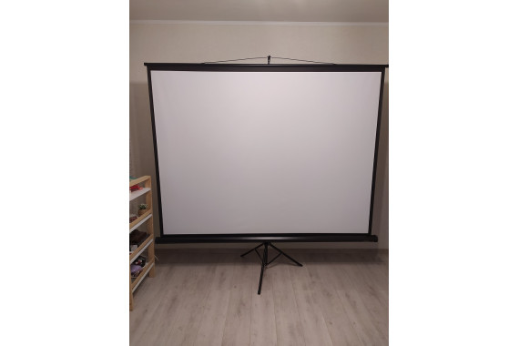 Аренда экрана проекционного.