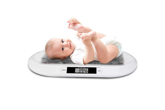 Весы Camry напрокат в Минске