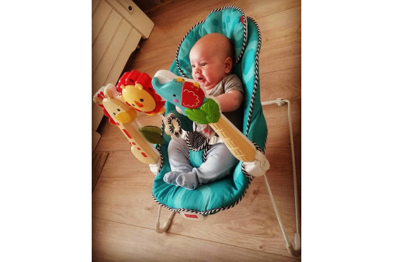 Шезлонг Зоопарк fisher price