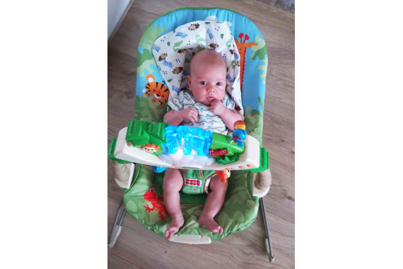 Музыкальный шезлонг Джунгли fisher price