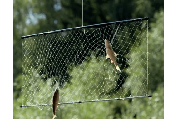 Аренда телевизора рыболовного