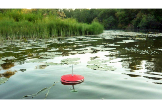 Аренда кружков для ловли хищной рыбы