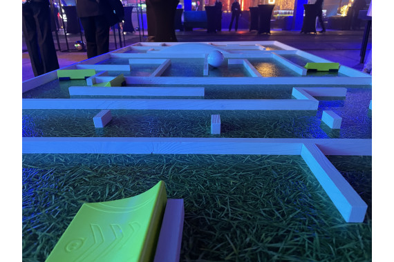 Гонки на робошарах