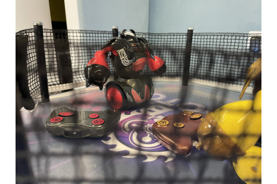 Бои роботов