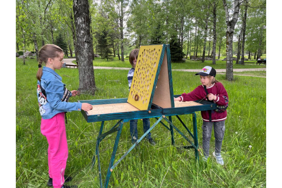 Аренда игры из дерева "Рошфор"