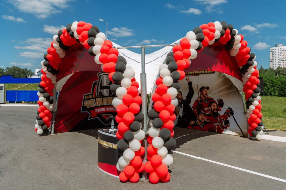 Арочный шатер ArcoTenso Prima 25